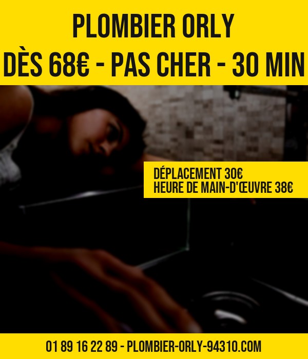 plombier Orly prix